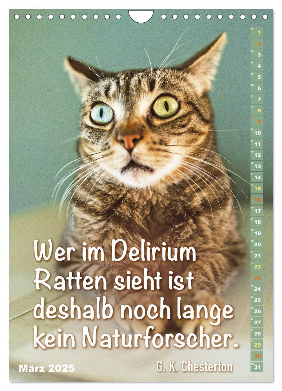 Bild: 9783435940547 | Der literarische Katerkalender (Wandkalender 2025 DIN A4 hoch),...