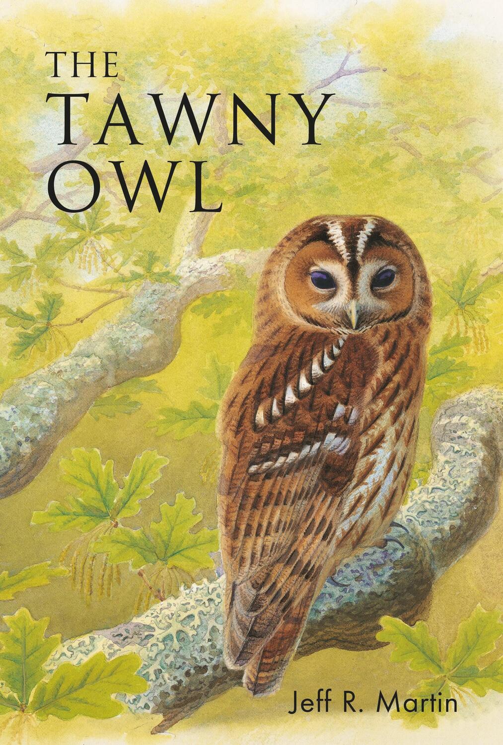 Cover: 9781472980694 | The Tawny Owl | Jeff Martin | Taschenbuch | Kartoniert / Broschiert