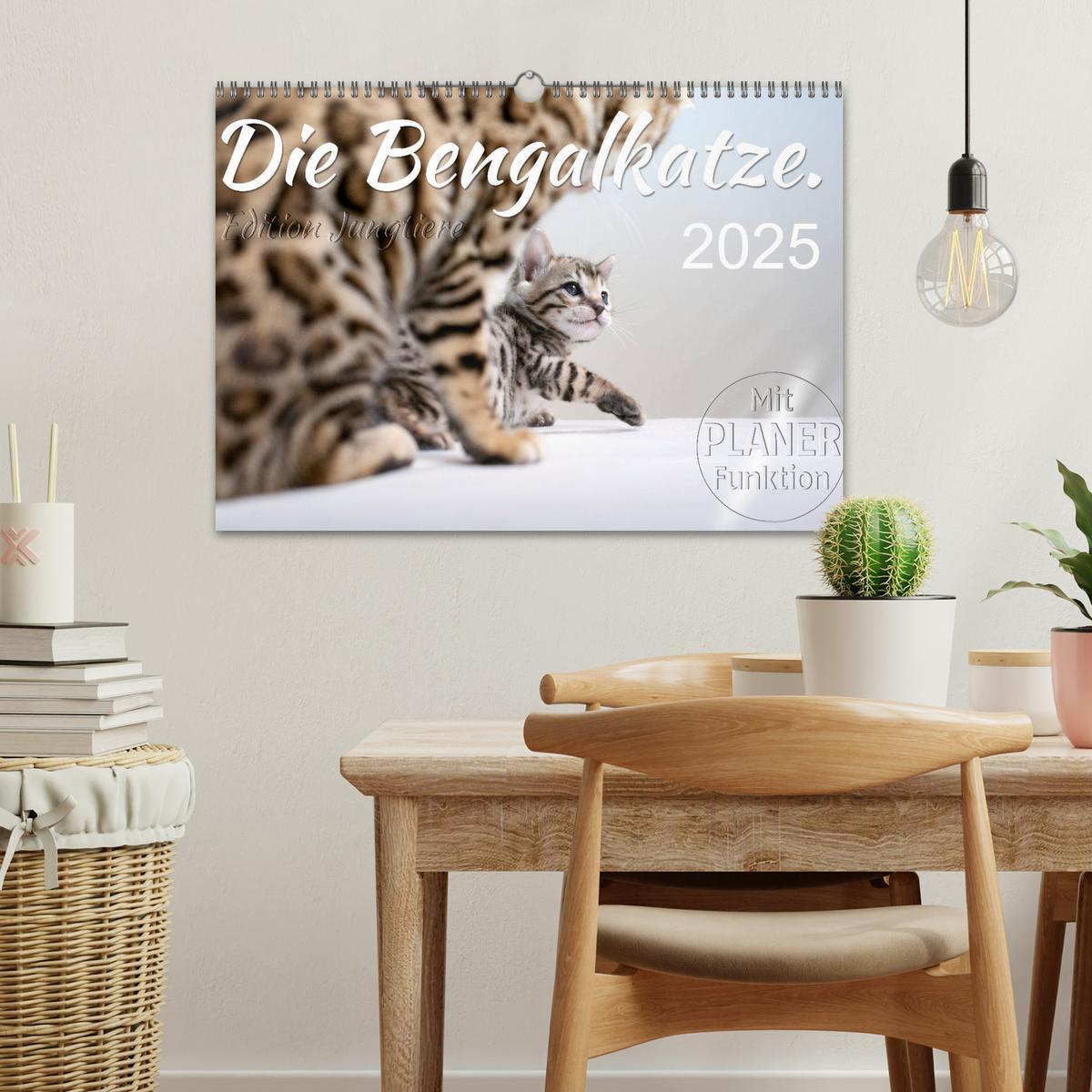 Bild: 9783435593071 | Die Bengalkatze. Edition Jungtiere (Wandkalender 2025 DIN A3 quer),...