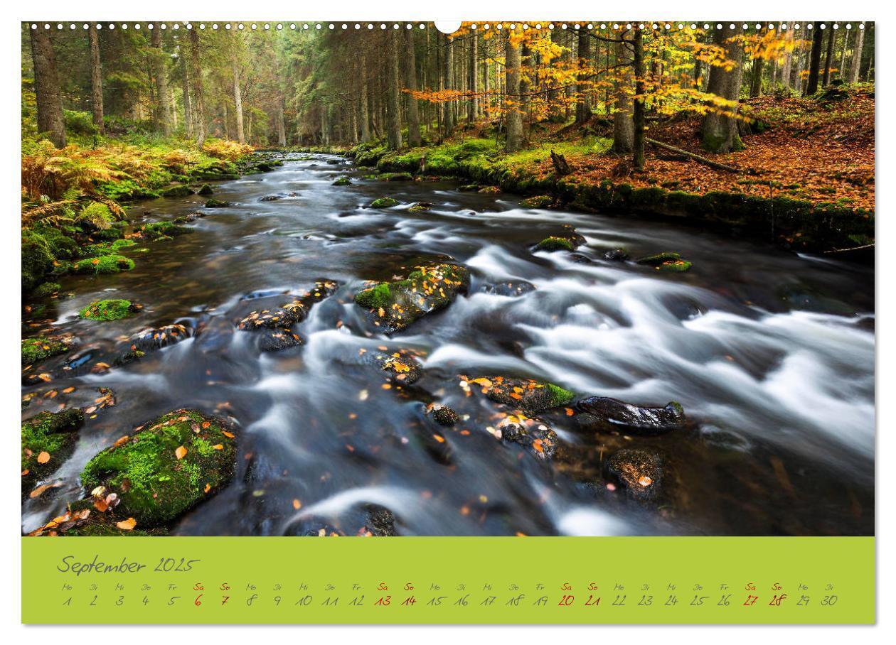 Bild: 9783435193530 | Der Bayerische Wald (Wandkalender 2025 DIN A2 quer), CALVENDO...