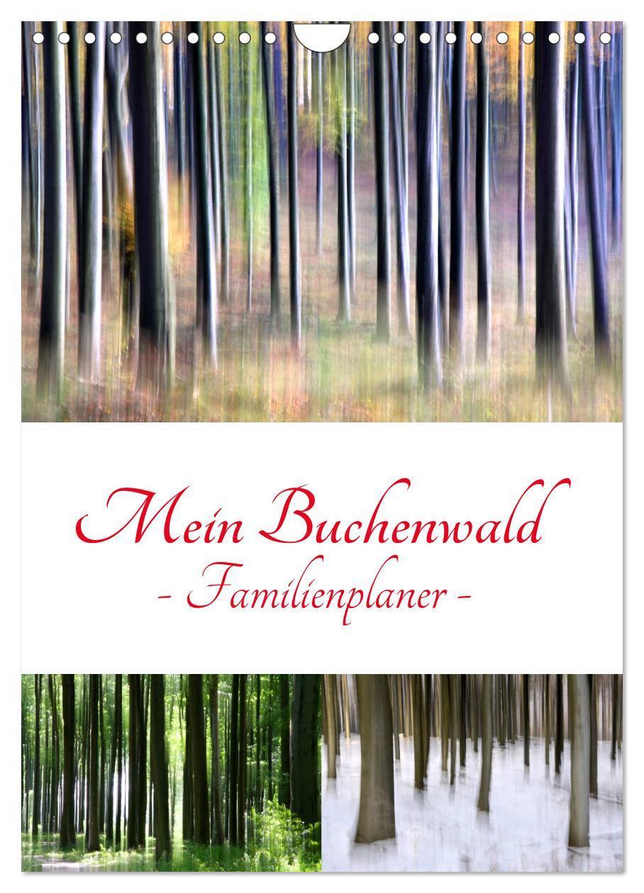 Cover: 9783383332661 | Mein Buchenwald - Familienplaner (Wandkalender 2024 DIN A4 hoch),...