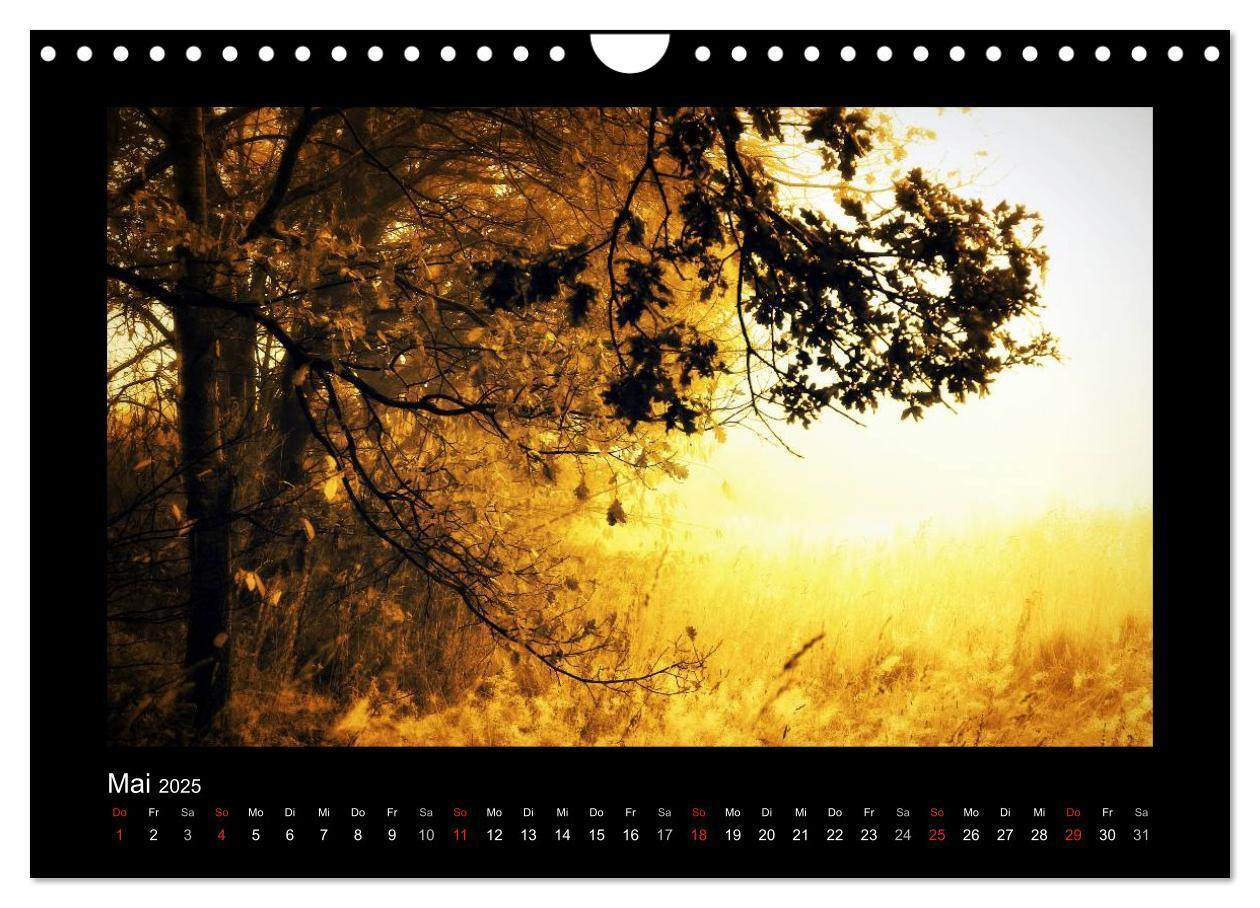 Bild: 9783435732074 | Landschaft Teufelsmoor / 2025 (Wandkalender 2025 DIN A4 quer),...