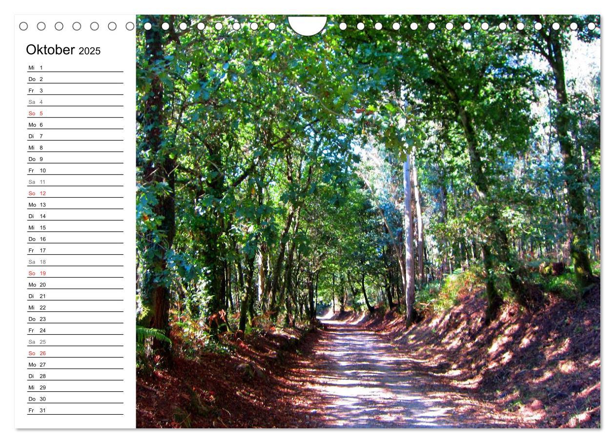 Bild: 9783435520916 | Camino Portugues - Jakobsweg (Wandkalender 2025 DIN A4 quer),...