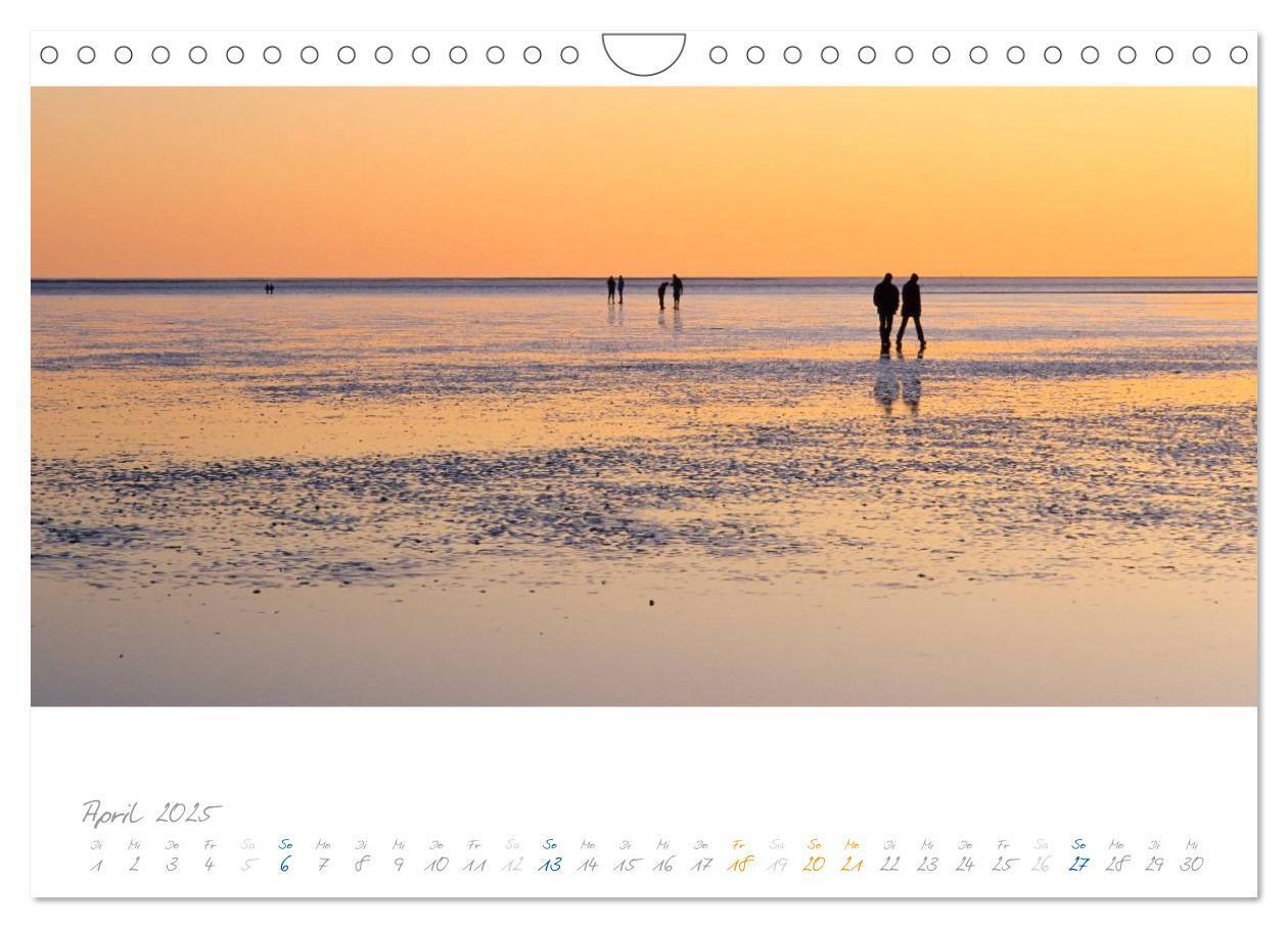 Bild: 9783435666867 | Am Meer (Wandkalender 2025 DIN A4 quer), CALVENDO Monatskalender