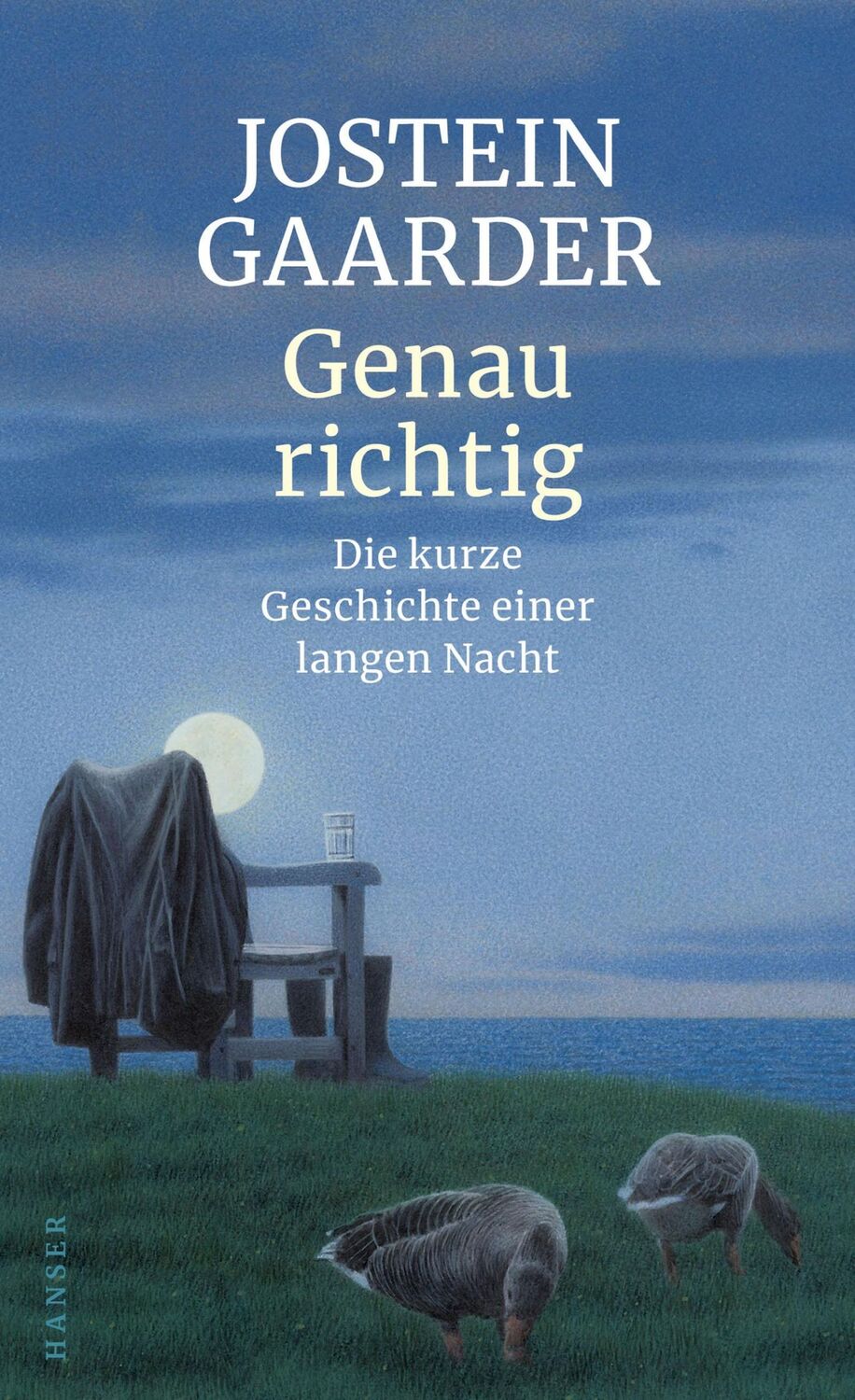 Cover: 9783446263673 | Genau richtig | Die kurze Geschichte einer langen Nacht | Gaarder