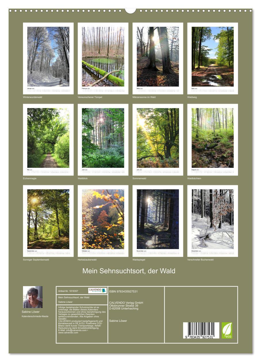 Bild: 9783435927531 | Mein Sehnsuchtsort, der Wald (Wandkalender 2025 DIN A2 hoch),...