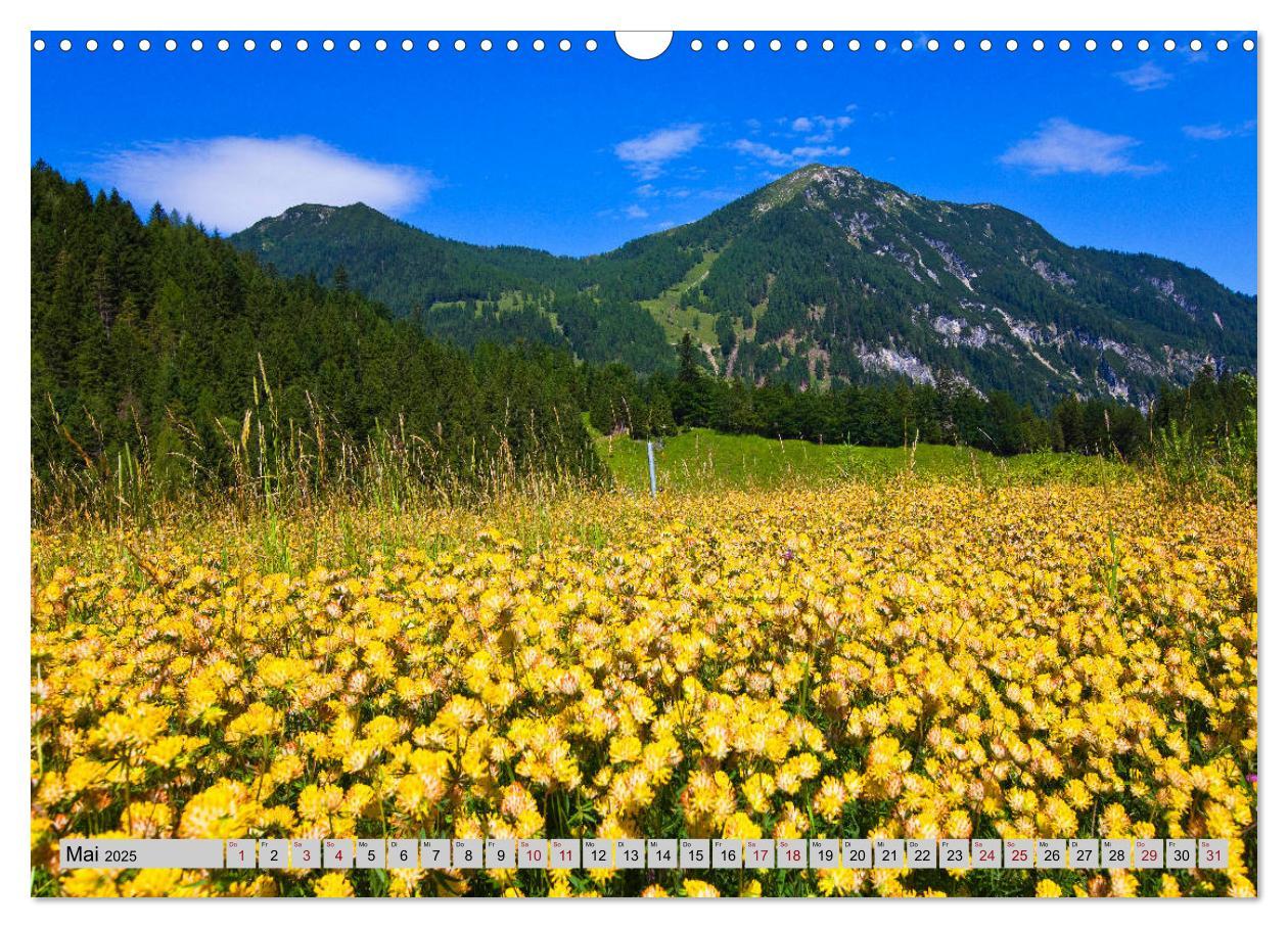 Bild: 9783435384952 | Herzliche Grüße aus Flachau (Wandkalender 2025 DIN A3 quer),...