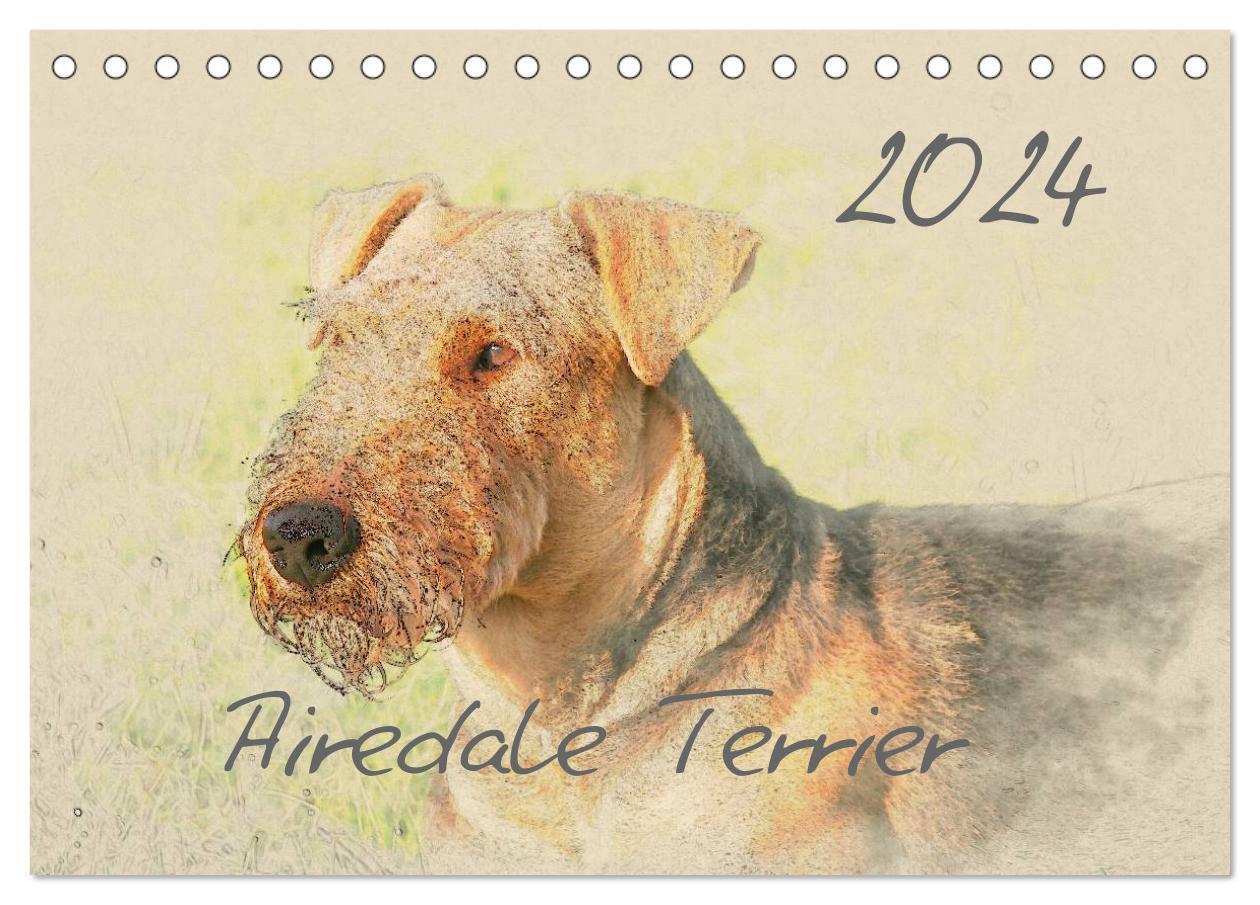 Cover: 9783675764729 | Airedale Terrier 2024 (Tischkalender 2024 DIN A5 quer), CALVENDO...