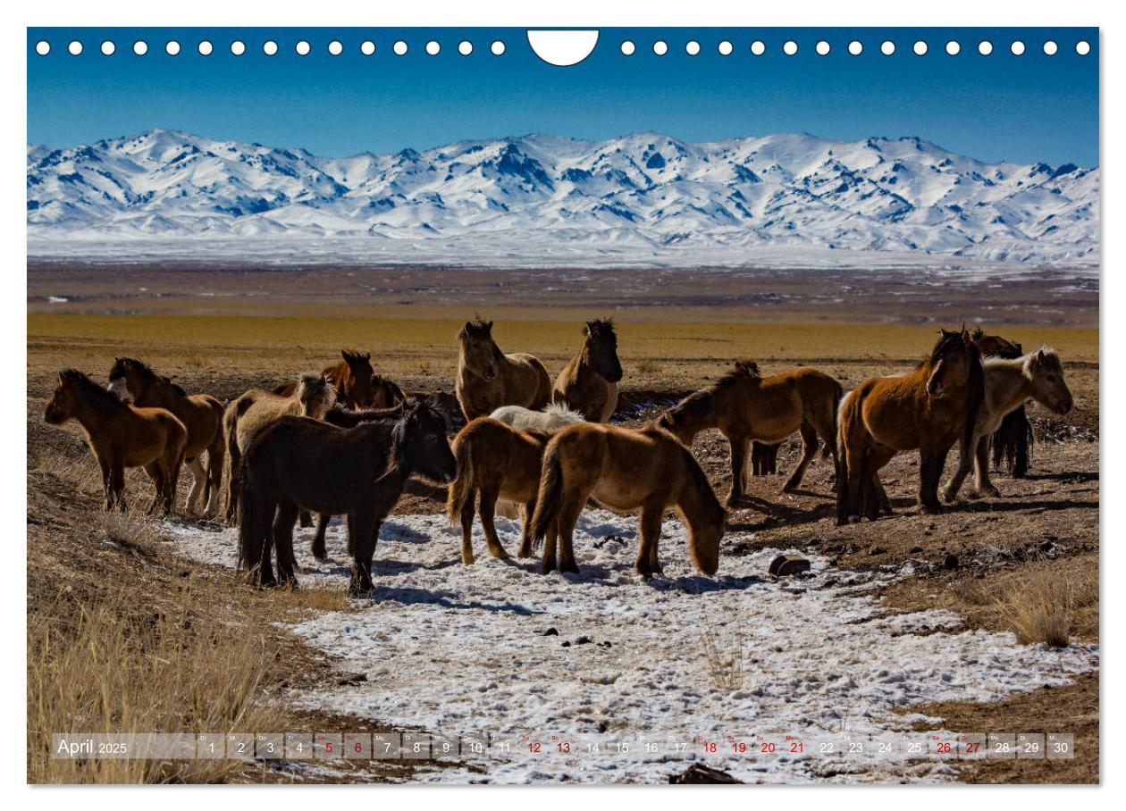 Bild: 9783435342501 | Mongolei - imposantes Land (Wandkalender 2025 DIN A4 quer),...