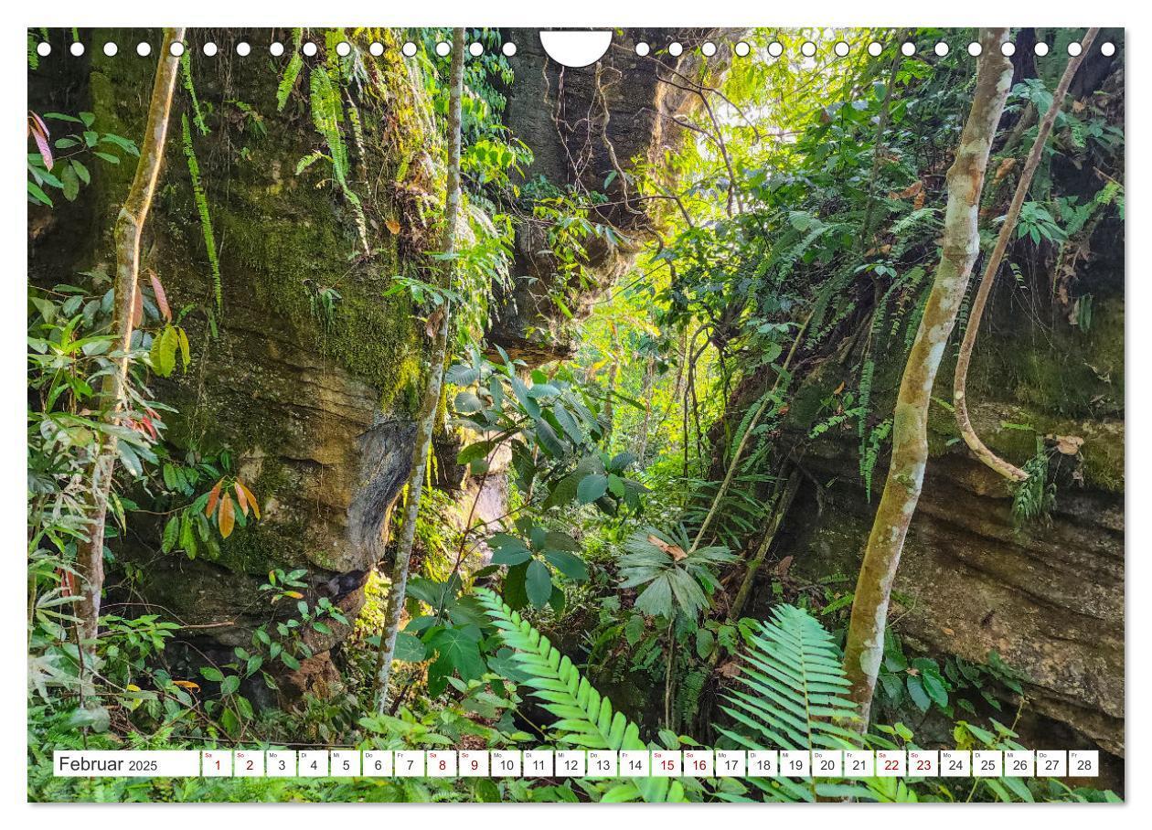 Bild: 9783457151006 | Gunung Leuser Nationalpark Sumatra (Wandkalender 2025 DIN A4 quer),...