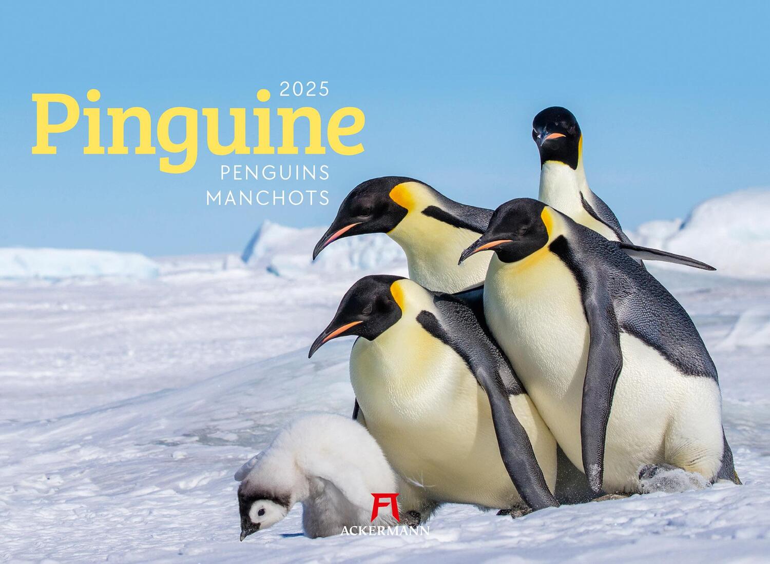 Cover: 9783838425894 | Pinguine Kalender 2025 | Ackermann Kunstverlag | Kalender | 14 S.