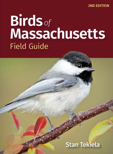 Cover: 9781647554033 | Birds of Massachusetts Field Guide | Stan Tekiela | Taschenbuch | 2023