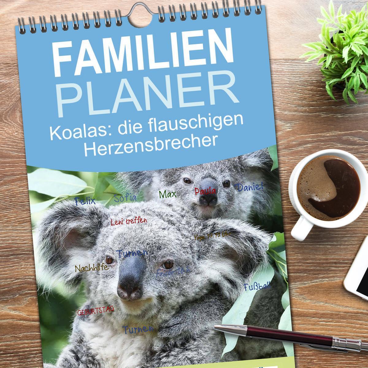 Bild: 9783457091456 | Familienplaner 2025 - Koalas: die flauschigen Herzensbrecher mit 5...