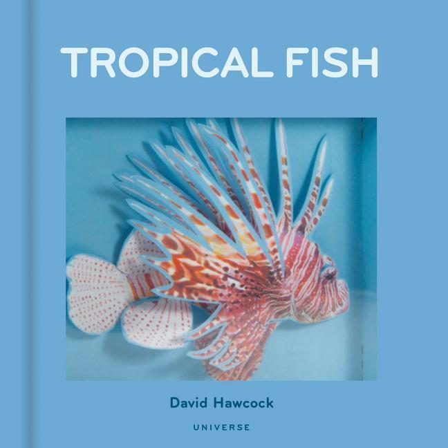 Cover: 9780789335623 | Tropical Fish: Pop-Up | David Hawcock | Buch | Englisch | 2018