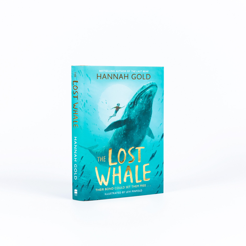 Bild: 9780008412944 | The Lost Whale | Hannah Gold | Buch | Englisch | 2022