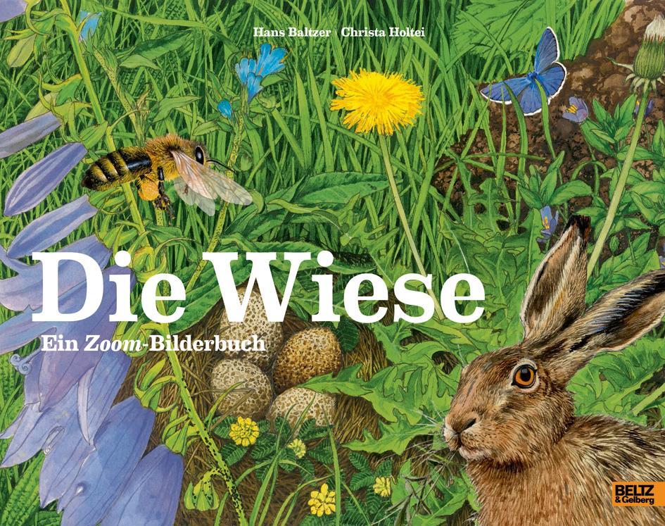 Cover: 9783407812230 | Die Wiese | Ein Zoom-Bilderbuch | Hans Baltzer (u. a.) | Buch | 32 S.