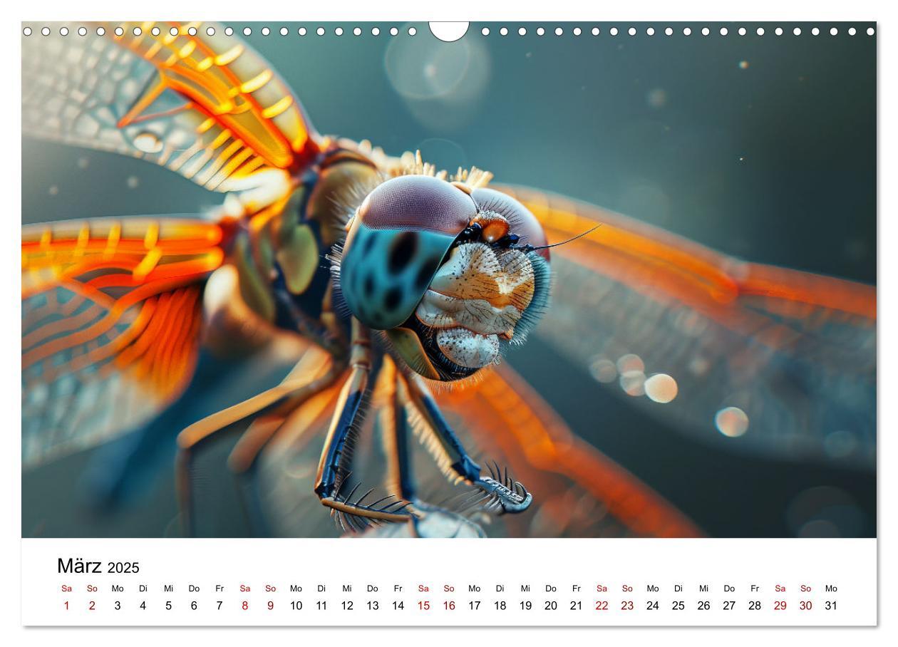 Bild: 9783383799754 | Insekten hautnah (Wandkalender 2025 DIN A3 quer), CALVENDO...