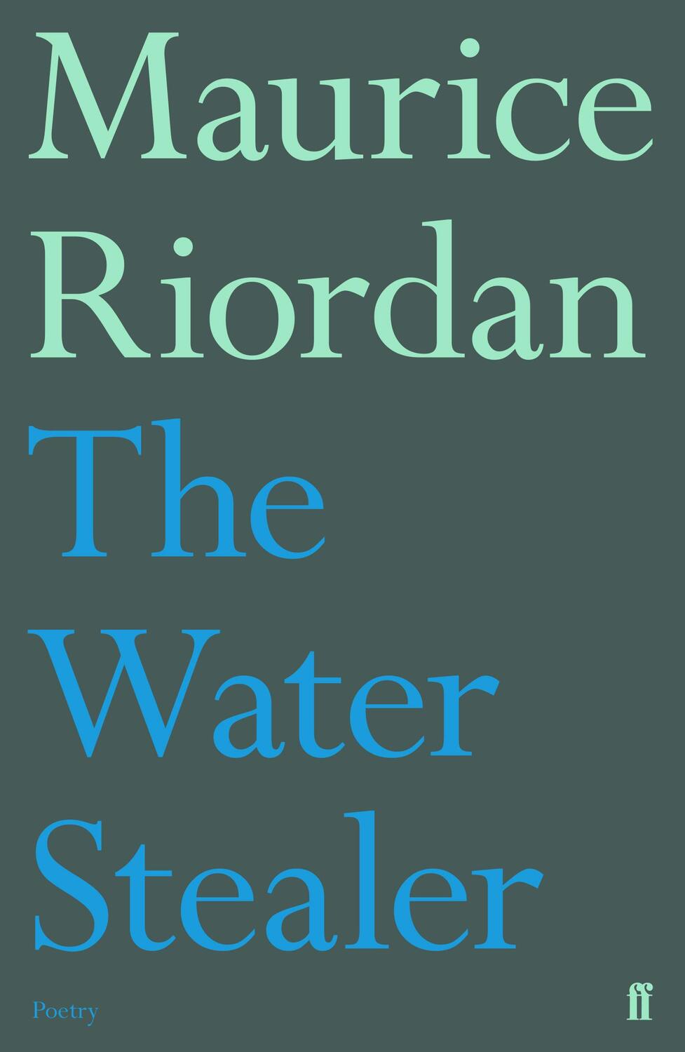 Cover: 9780571303137 | The Water Stealer | Maurice Riordan | Taschenbuch | Englisch | 2015