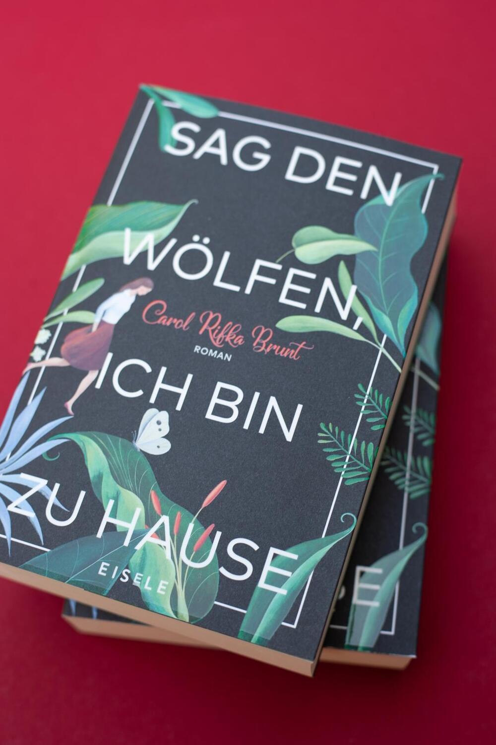 Bild: 9783961610075 | Sag den Wölfen, ich bin zu Hause | Carol Rifka Brunt | Buch | 448 S.