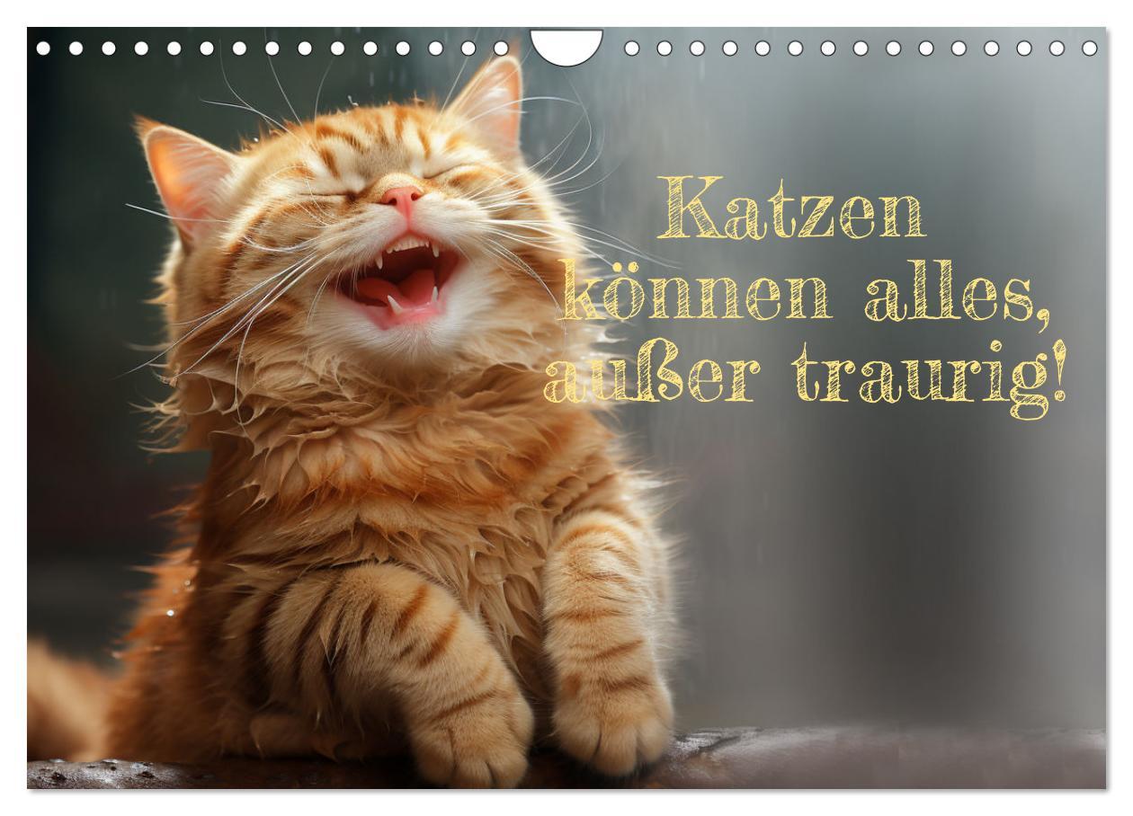 Cover: 9783383834912 | Katzen können alles, außer traurig. (Wandkalender 2025 DIN A4...