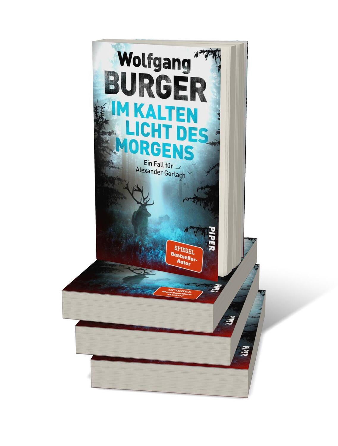 Bild: 9783492064408 | Im kalten Licht des Morgens | Wolfgang Burger | Taschenbuch | 368 S.