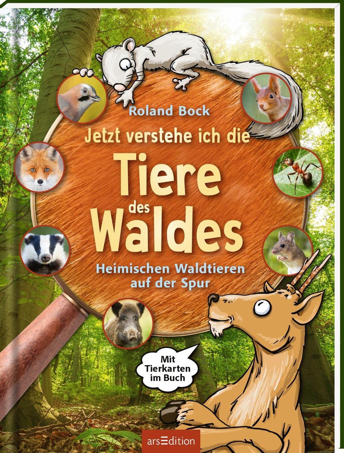 Cover: 9783845855653 | Jetzt verstehe ich die Tiere des Waldes | Roland Bock | Buch | 48 S.
