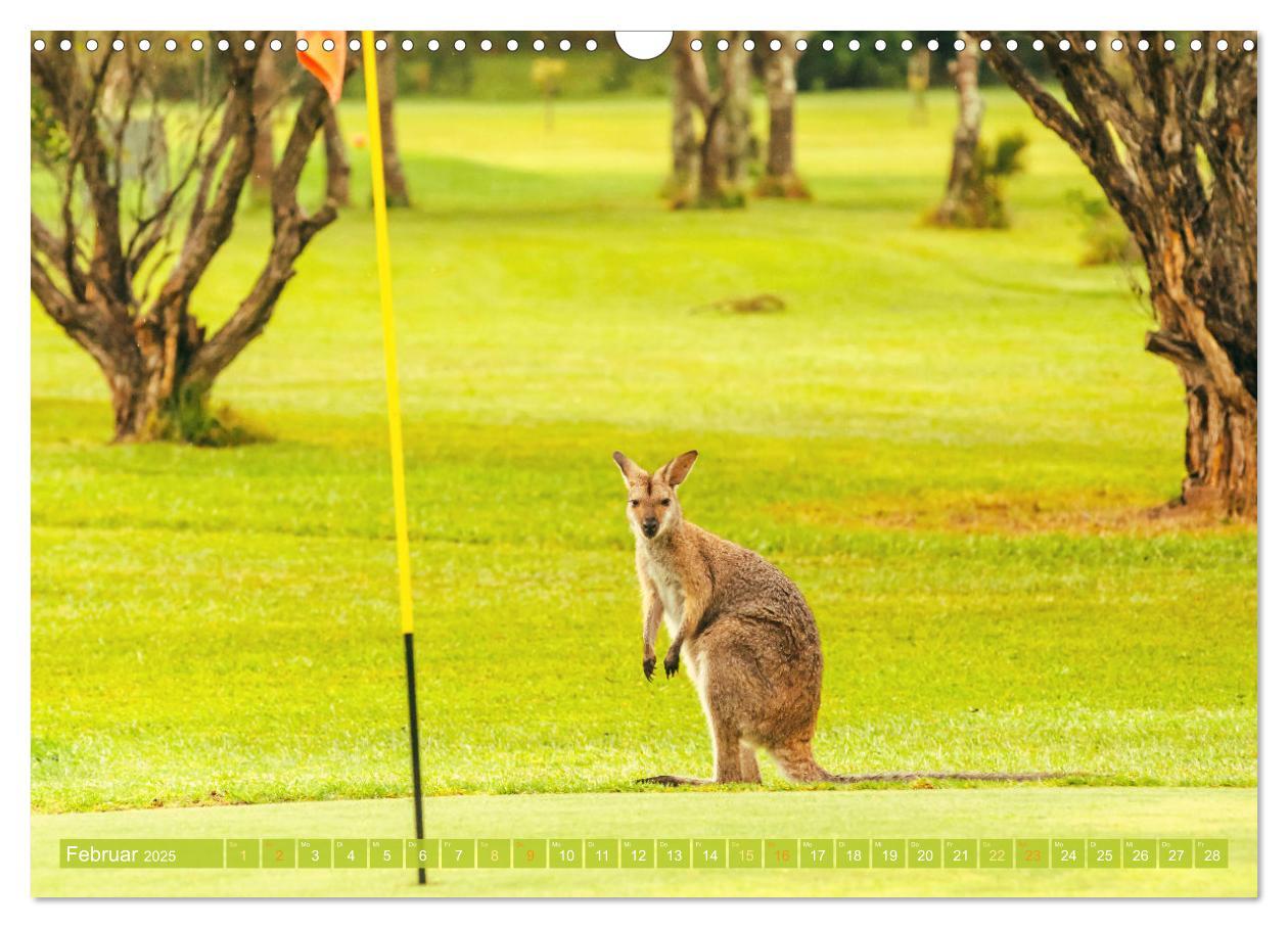 Bild: 9783457161371 | Golfparadiese der Welt (Wandkalender 2025 DIN A3 quer), CALVENDO...