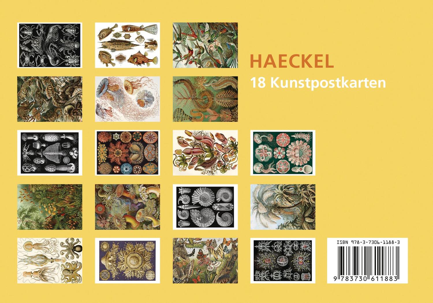 Bild: 9783730611883 | Postkarten-Set Ernst Haeckel | 18 Kunstpostkarten | Taschenbuch | 2022