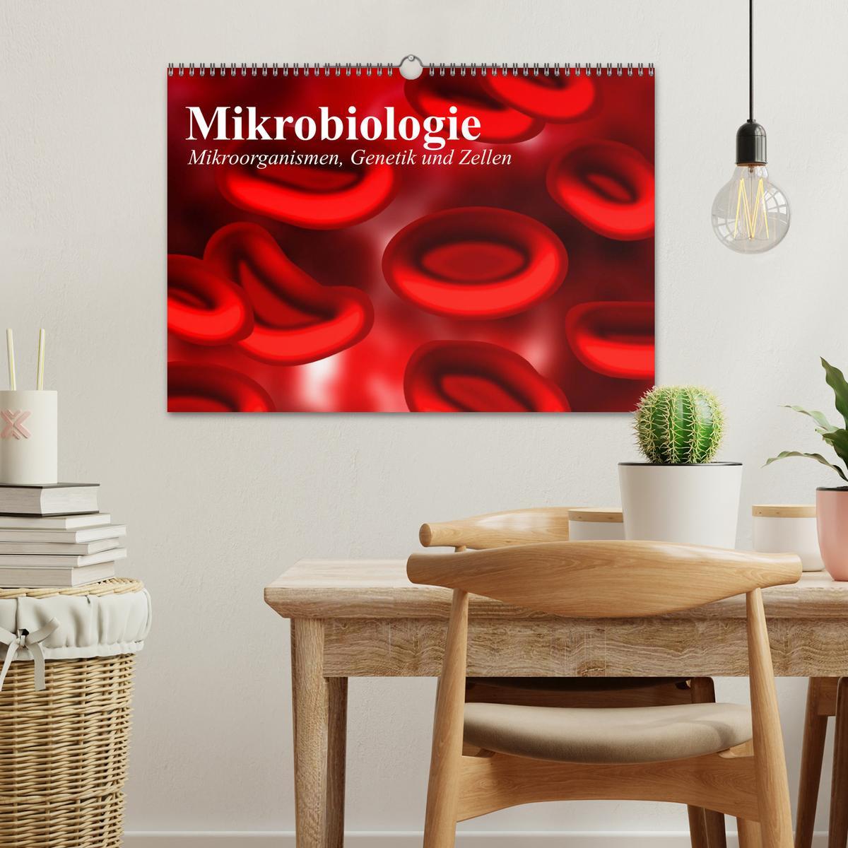 Bild: 9783435483853 | Mikrobiologie. Mikroorganismen, Genetik und Zellen (Wandkalender...