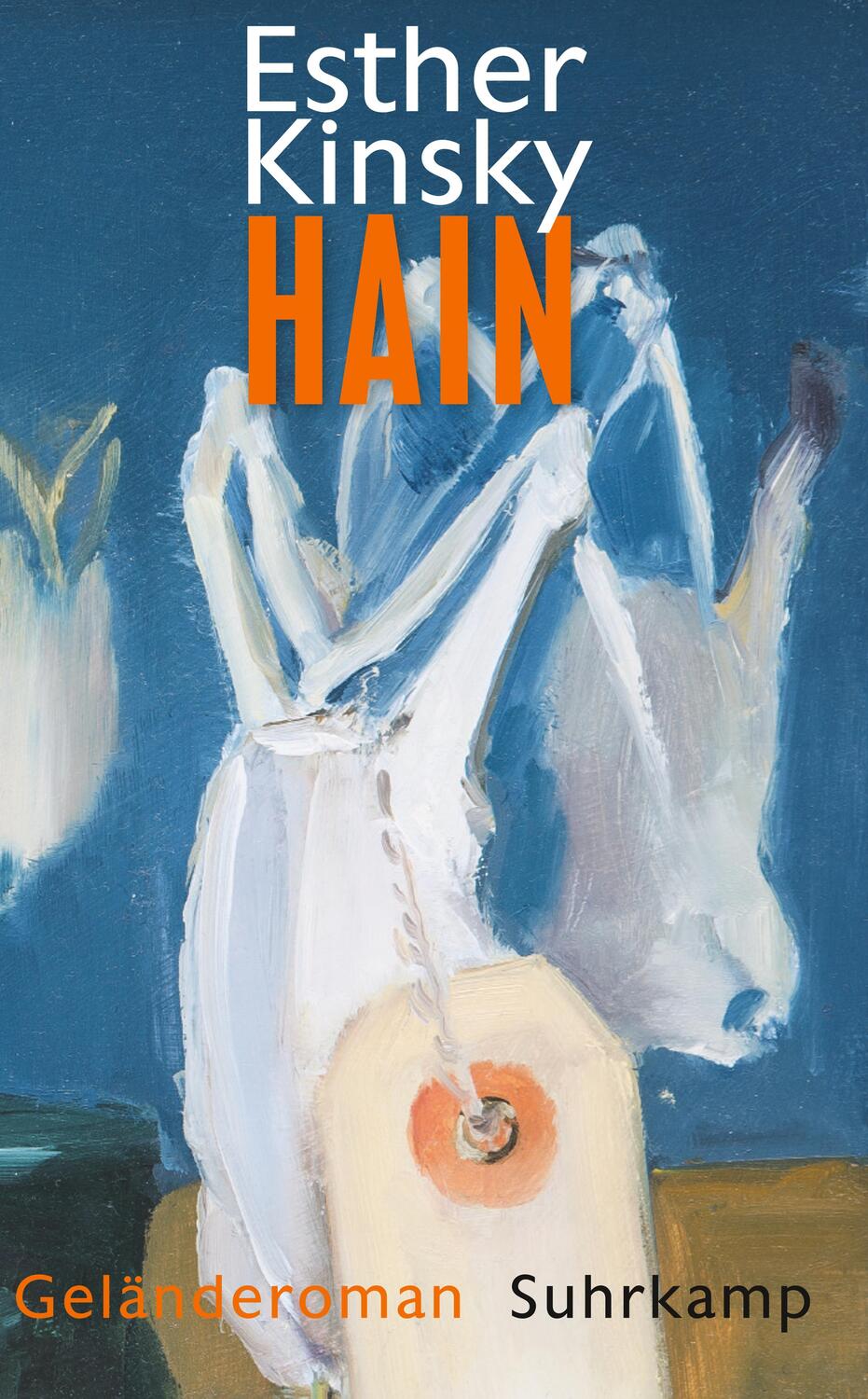 Cover: 9783518469514 | Hain | Geländeroman | Esther Kinsky | Taschenbuch | Deutsch | 2019
