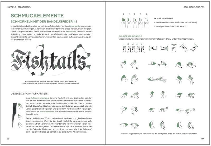 Bild: 9783747505779 | Praxisbuch Kalligraphie Alphabete | Cindy Schullerer | Taschenbuch