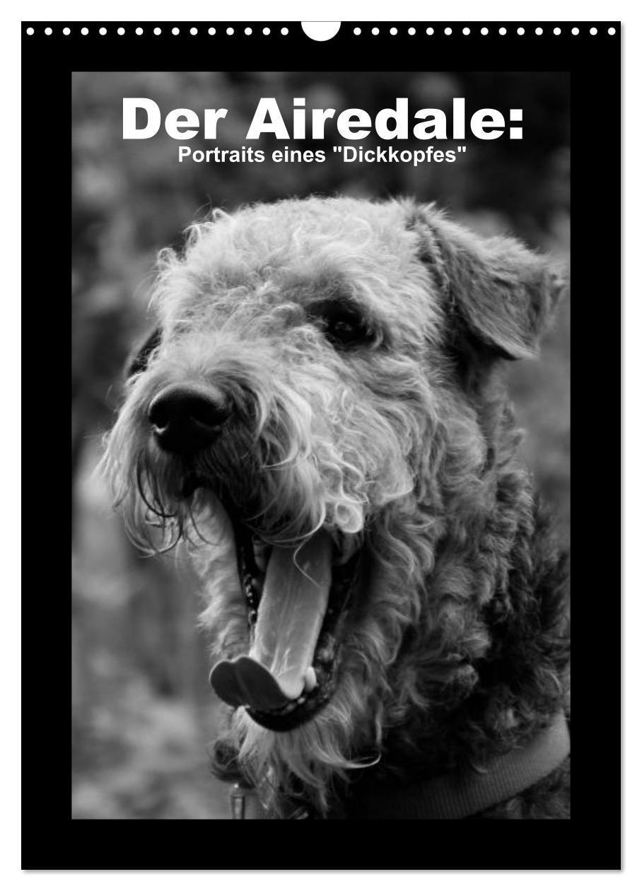 Cover: 9783675635630 | Der Airedale: Portraits eines "Dickkopfes" (Wandkalender 2024 DIN...