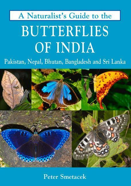 Cover: 9781909612792 | Naturalist's Guide to the Butterflies of India | Peter Smetacek | Buch