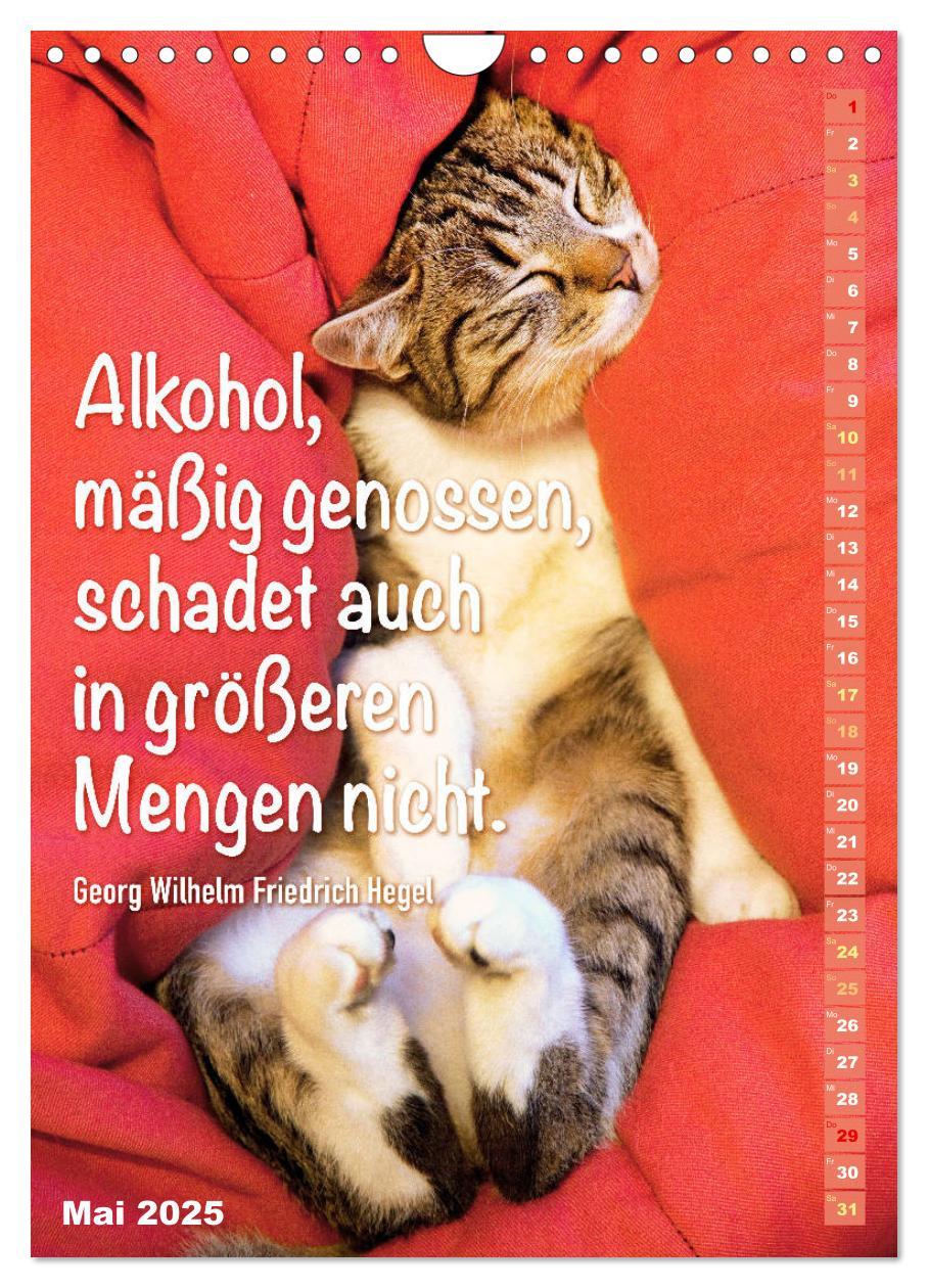 Bild: 9783435940547 | Der literarische Katerkalender (Wandkalender 2025 DIN A4 hoch),...