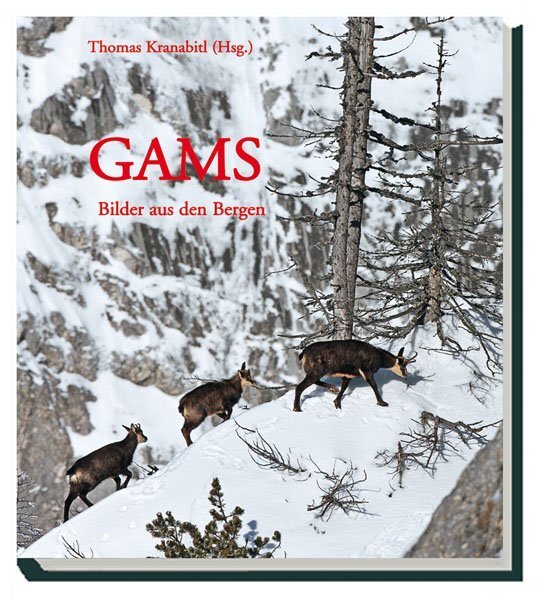 Cover: 9783852080970 | Gams | Bilder aus den Bergen | Gunther Greßmann (u. a.) | Buch | 2011