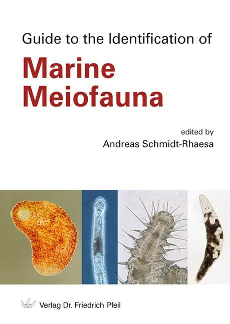 Cover: 9783899372441 | Guide to the Identification of Marine Meiofauna | Schmidt-Rhaesa