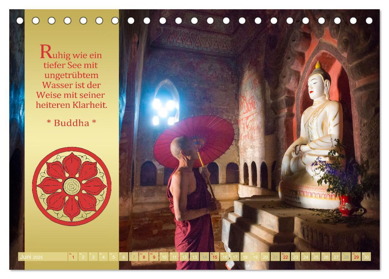 Bild: 9783435081004 | BUDDHAS WORTE - Buddhistische Weisheiten (Tischkalender 2025 DIN A5...