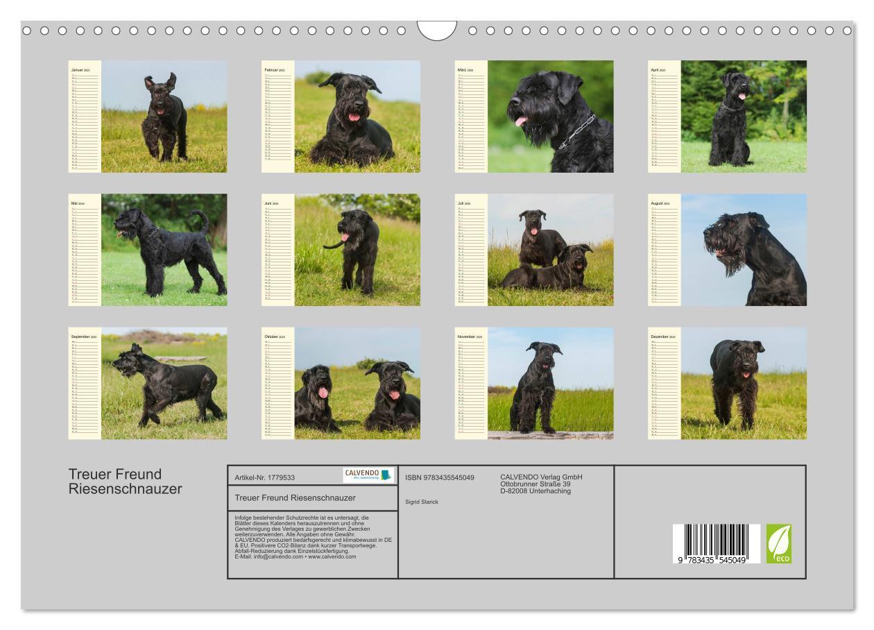 Bild: 9783435545049 | Treuer Freund Riesenschnauzer (Wandkalender 2025 DIN A3 quer),...