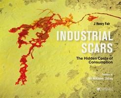Cover: 9781906506704 | Industrial Scars | The Hidden Costs of Consumption | J Henry Fair