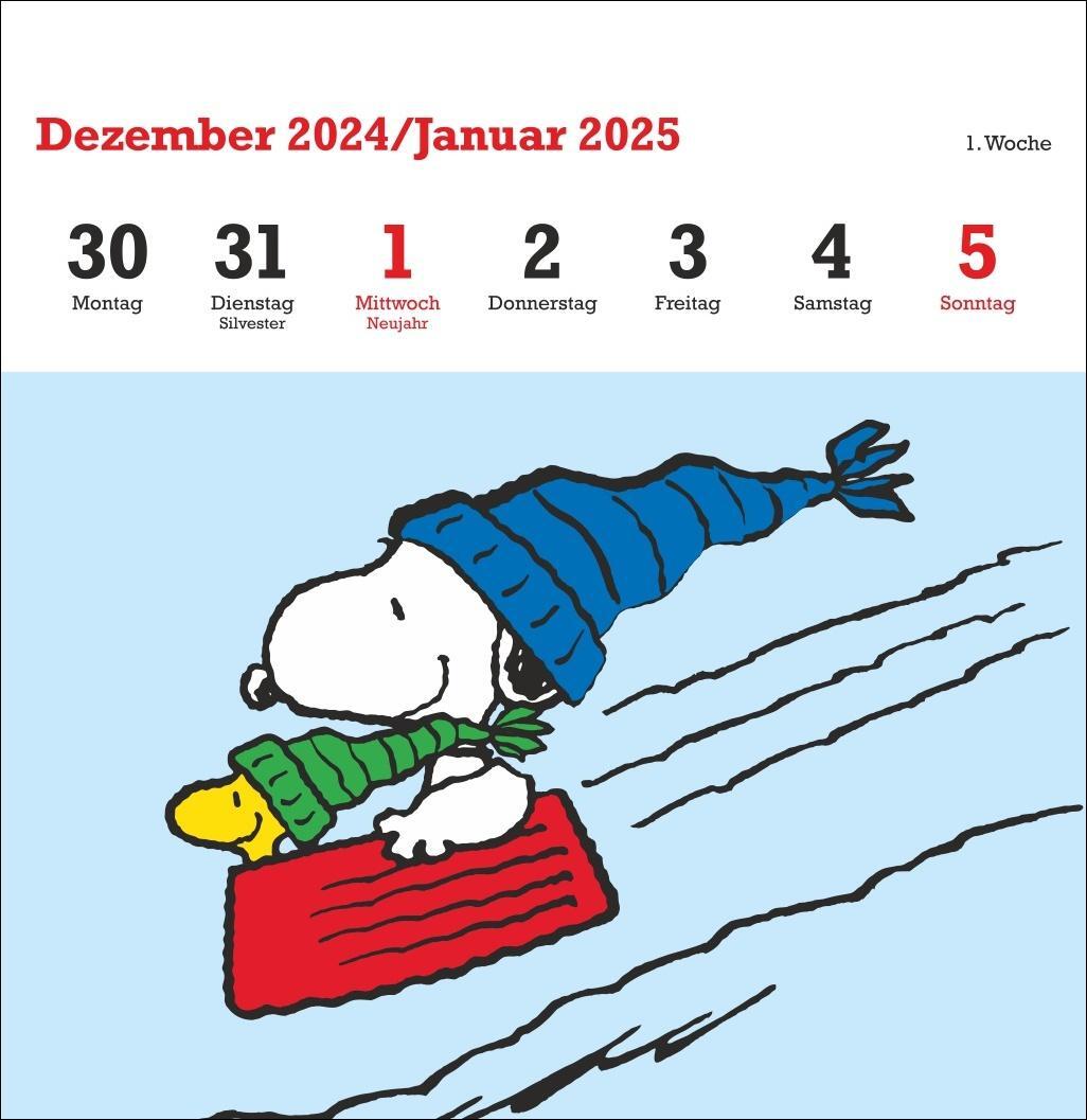 Bild: 9783756408078 | Peanuts Premium-Postkartenkalender 2025 | Heye | Kalender | 54 S.