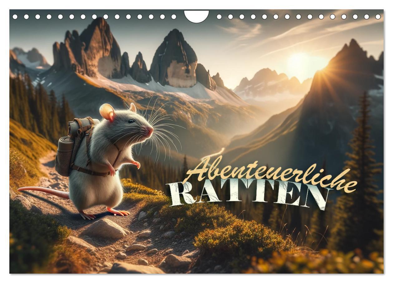 Cover: 9783383768606 | Abenteuerliche Ratten (Wandkalender 2025 DIN A4 quer), CALVENDO...