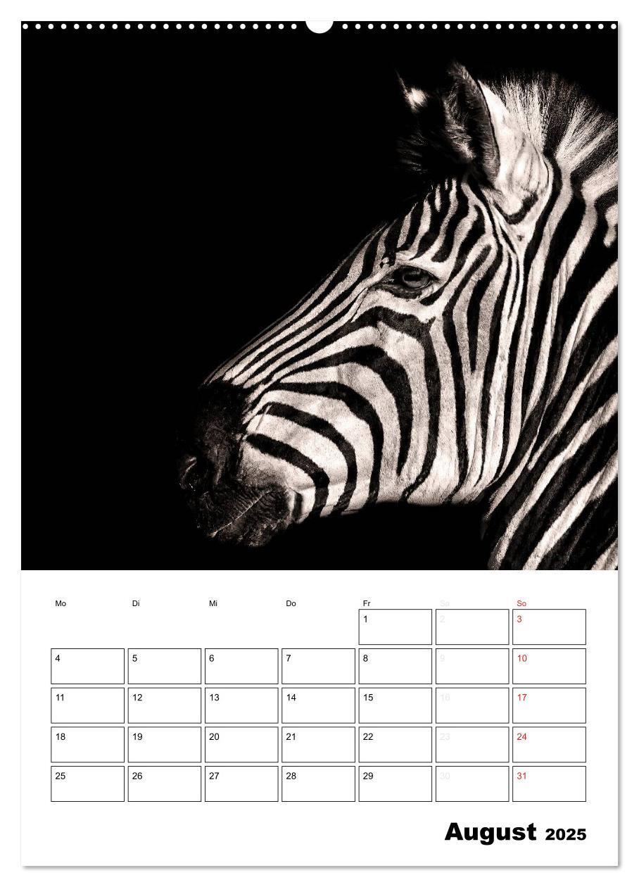 Bild: 9783457012840 | Charakterköpfe aus der Welt der Tiere (Wandkalender 2025 DIN A2...