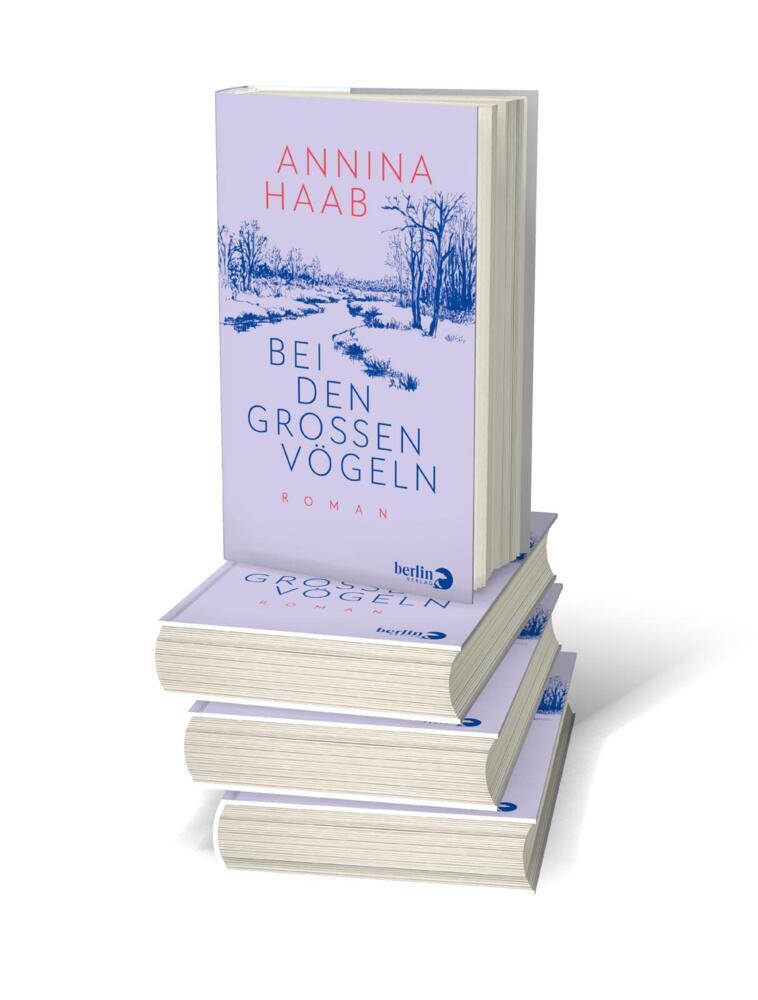 Bild: 9783827014276 | Bei den großen Vögeln | Roman | Annina Haab | Buch | 288 S. | Deutsch