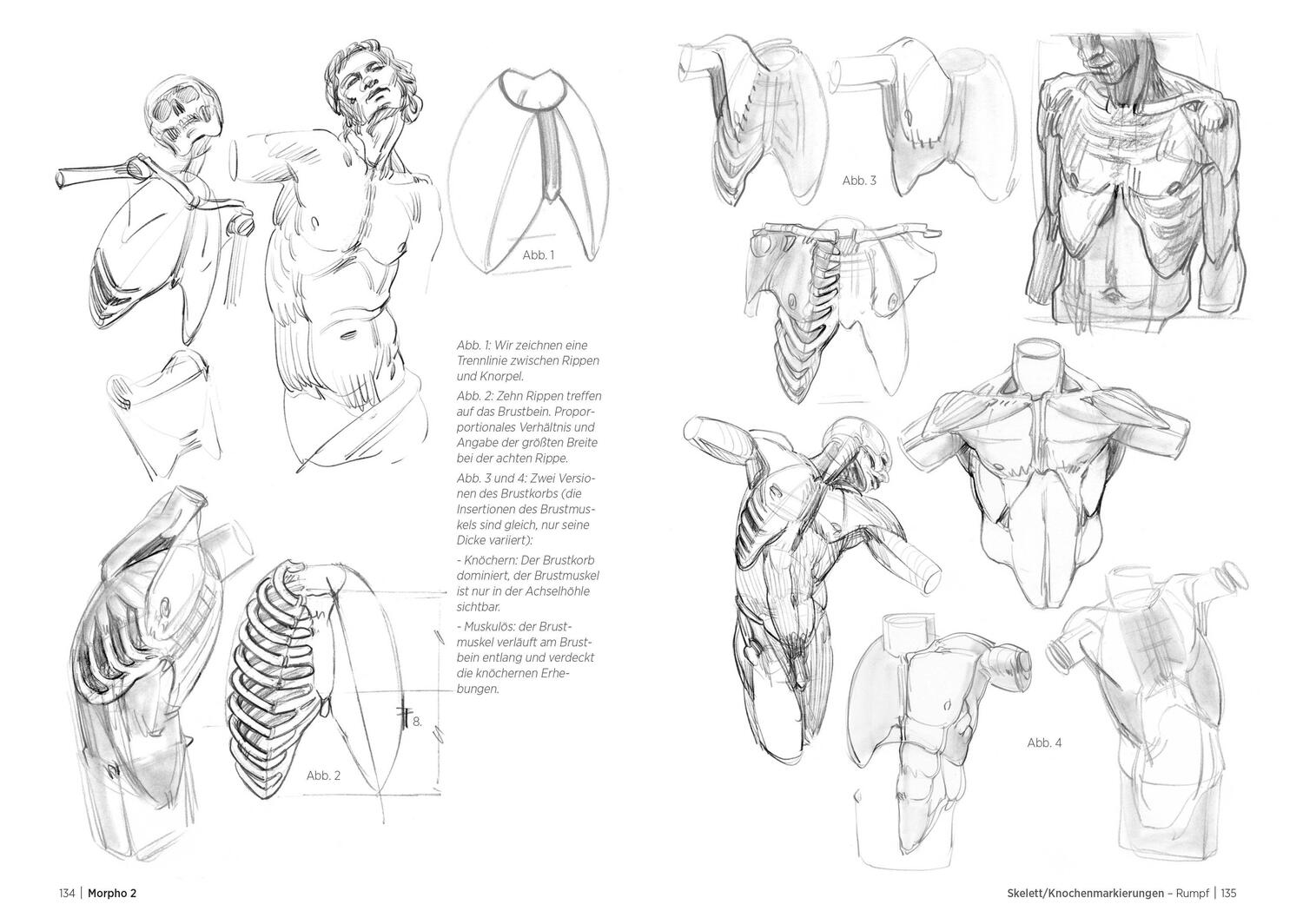 Bild: 9783830714576 | Morpho 2. Mehr Anatomie für Künstler | Michel Lauricella | Taschenbuch