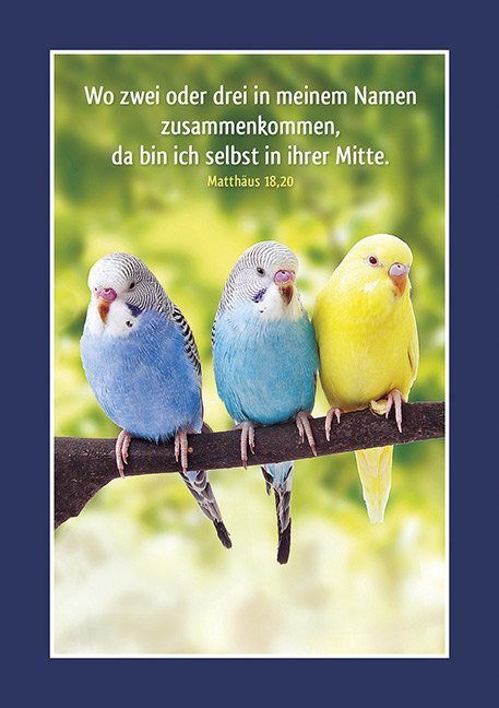Bild: 9783863388362 | Kleine Quelle - Tierisch fit!, Aufkleber-Mini-Buch | Stickerbuch