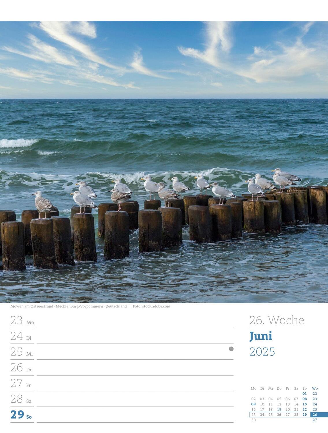 Bild: 9783838435039 | Am Meer - Wochenplaner Kalender 2025 | Ackermann Kunstverlag | 56 S.