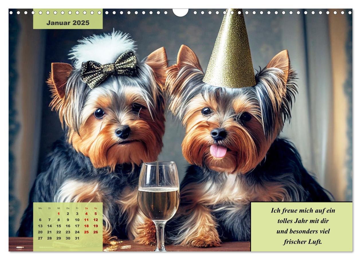 Bild: 9783383920219 | Der humoristische Yorkshire Terrier Kalender (Wandkalender 2025 DIN...