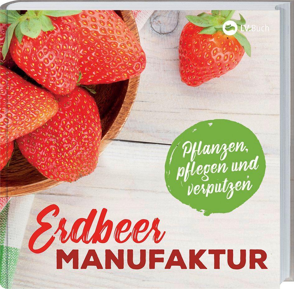 Cover: 9783784355450 | Erdbeer-Manufaktur | Pflanzen, pflegen und verputzen. | Buch | Deutsch