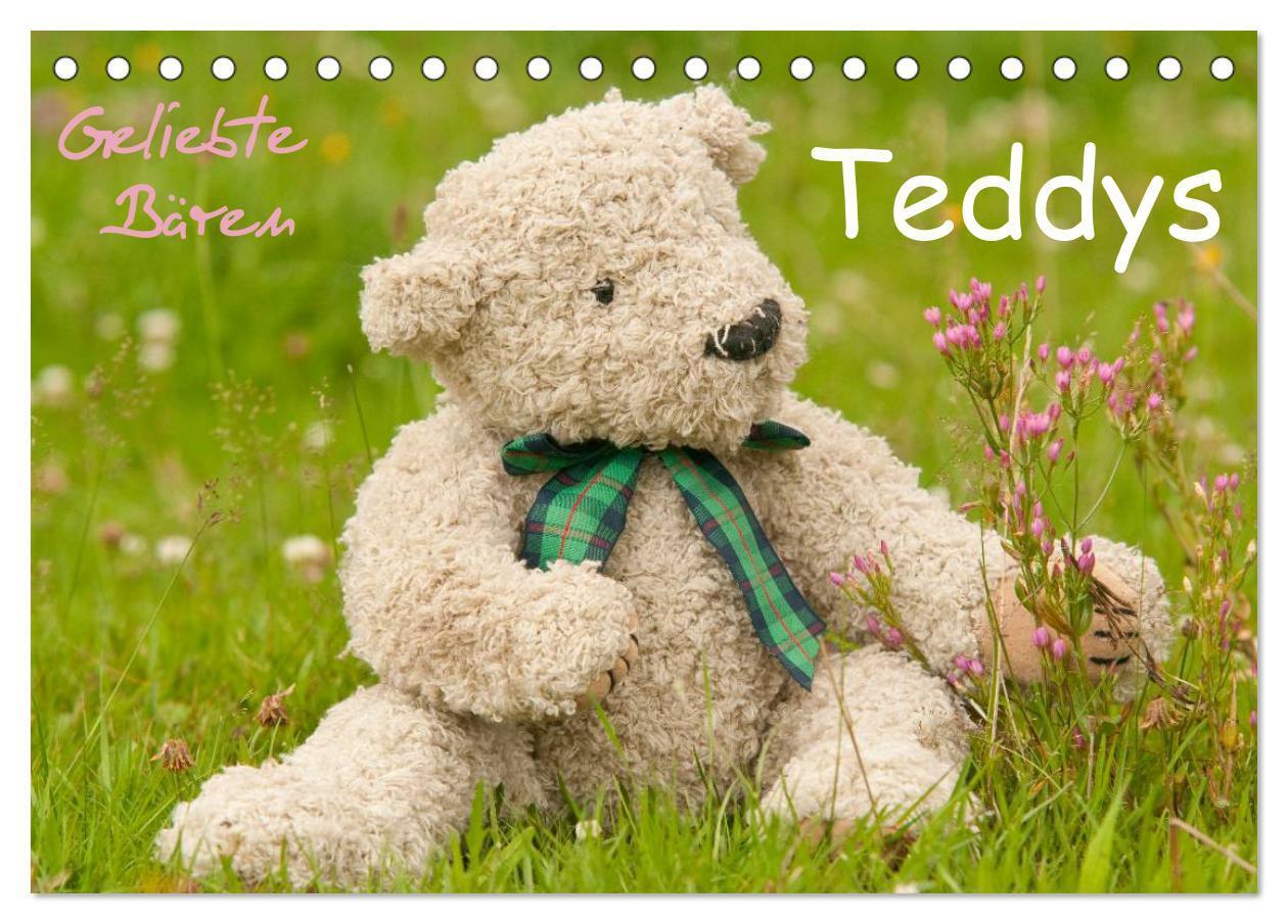 Cover: 9783435575251 | Geliebte Bären - Teddys (Tischkalender 2025 DIN A5 quer), CALVENDO...