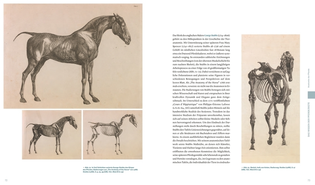 Bild: 9783806241181 | Von der Schönheit und den Leiden der Pferde | Mustafa Haikal | Buch